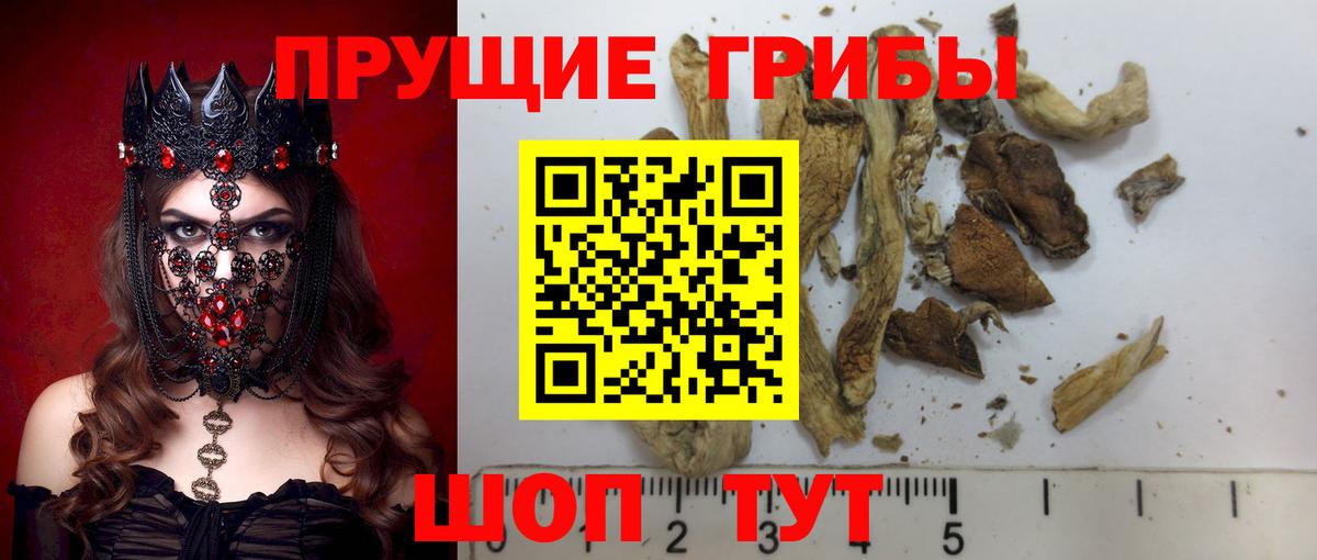 Псилоцибиновые грибы прущие грибы Лысьва