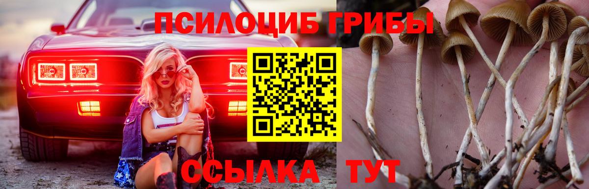 Лысьва  Псилоцибиновые грибы Cubensis  Вход с VPN 